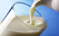 drinking unpasteurized milk in pregnancy