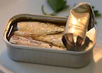 eating canned sardines in pregnancy