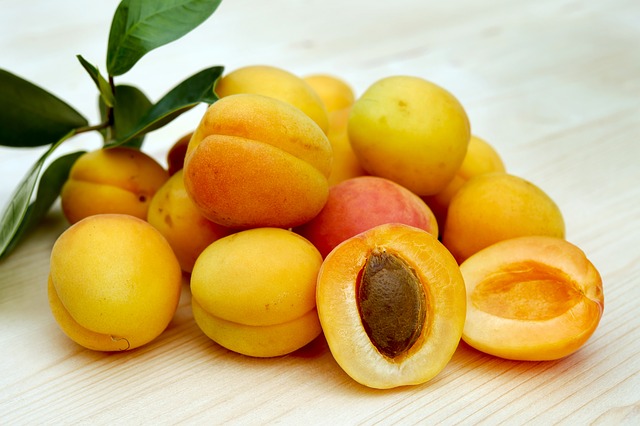 can i eat apricot in pregnancy