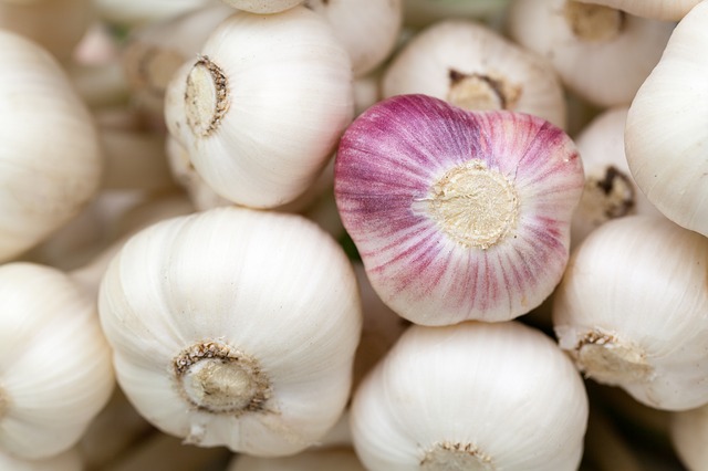 can i eat garlic during pregnancy