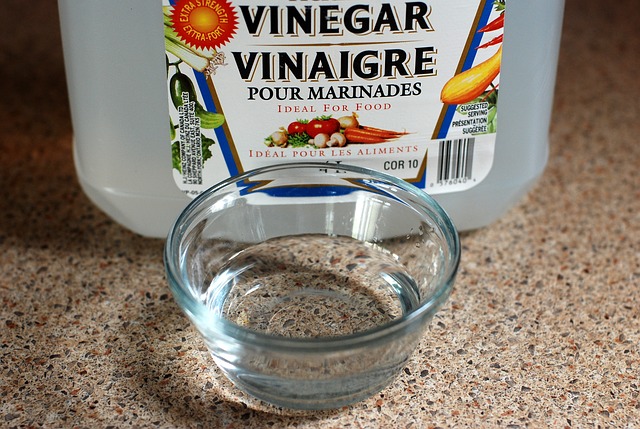 vinegar during pregnancy