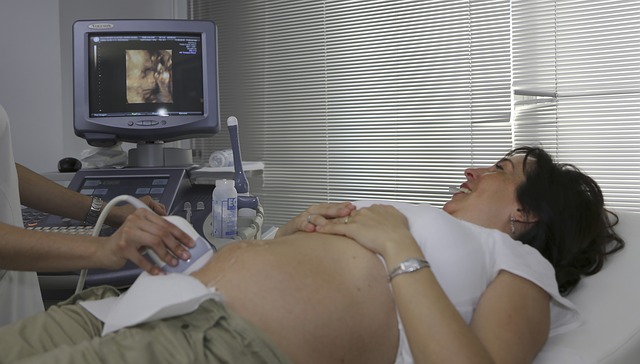 first scan pregnancy