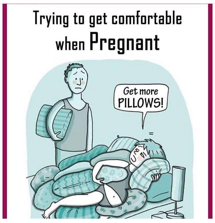 funny pregnancy pillow