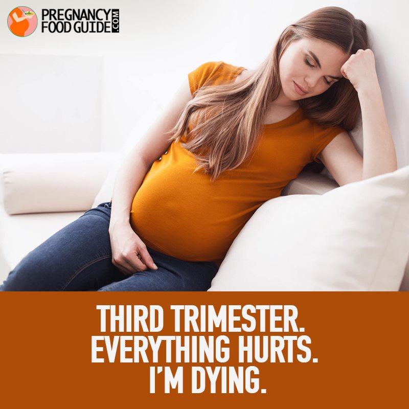 third trimester