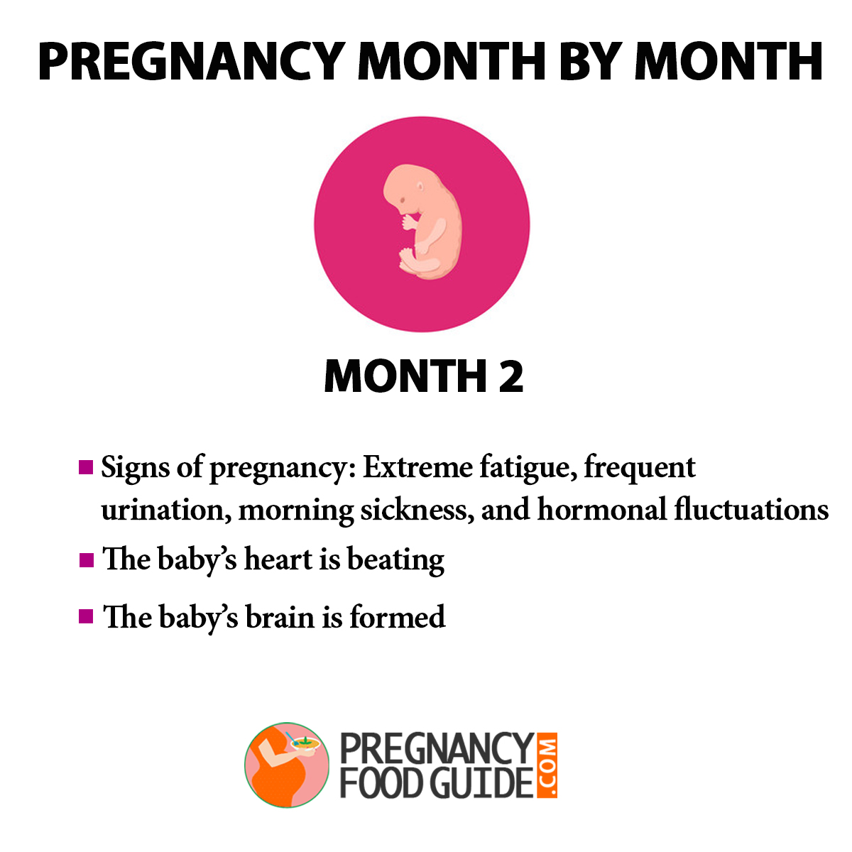 Pregnancy Month By Month – Baby Development 3