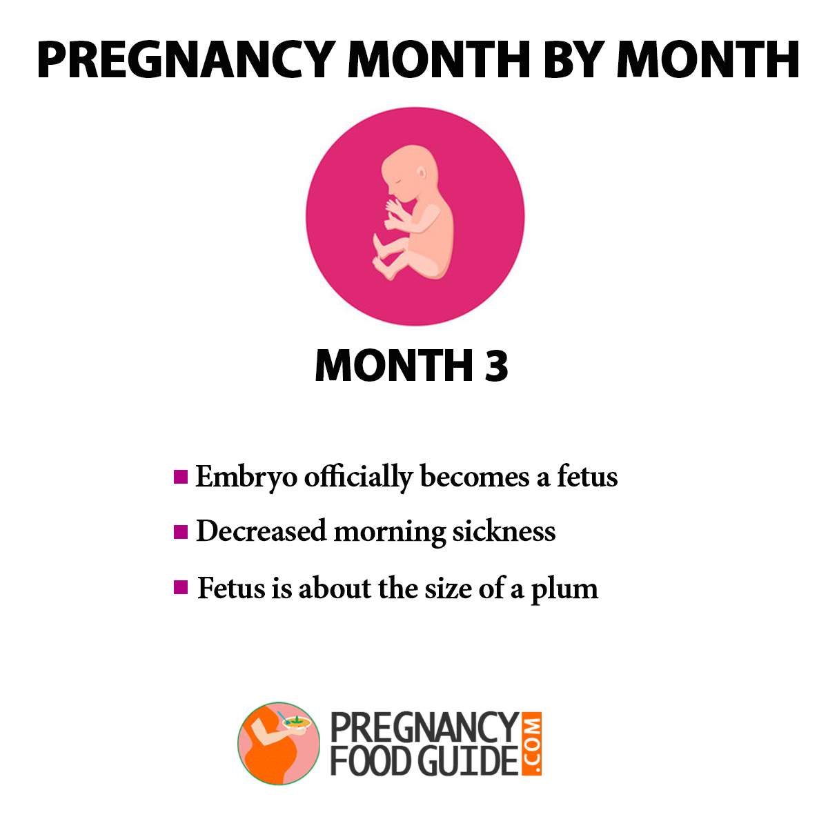 Pregnancy Month By Month – Baby Development 4