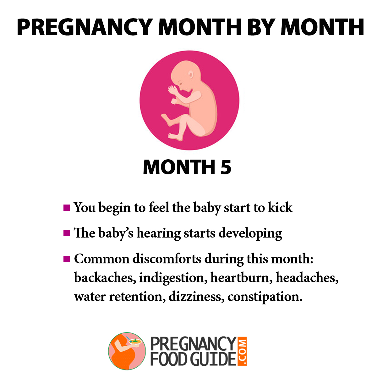 Pregnancy Month By Month – Baby Development 6