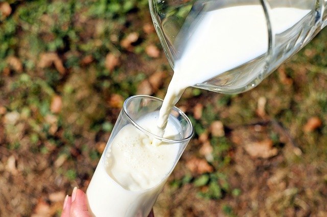 raw milk pregnancy