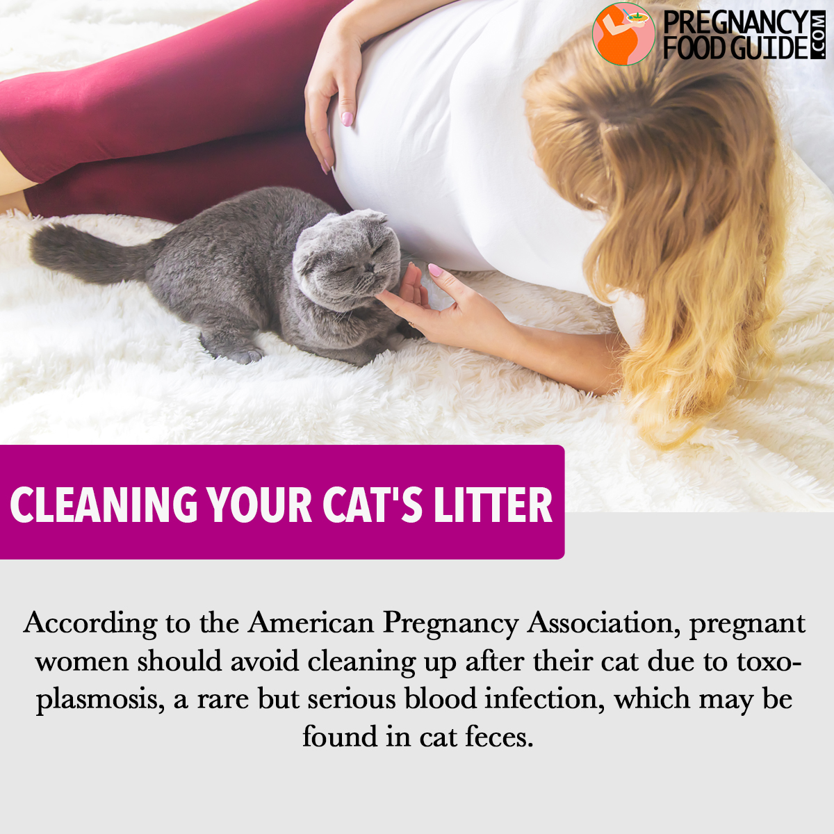 Cleaning your cat's litter