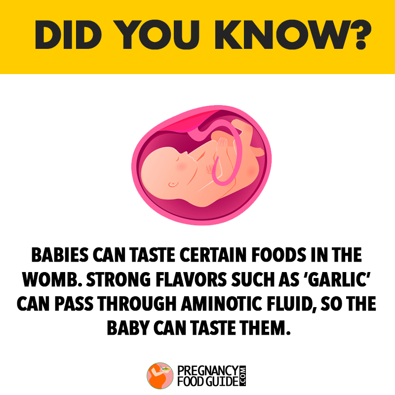 babies can taste in womb