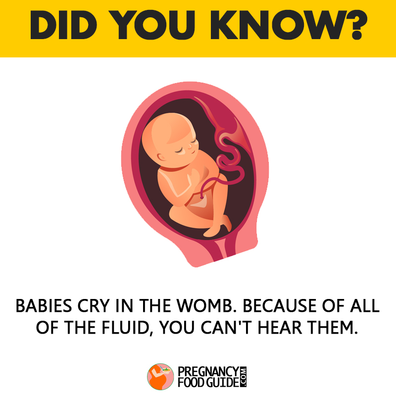 baby cry in womb