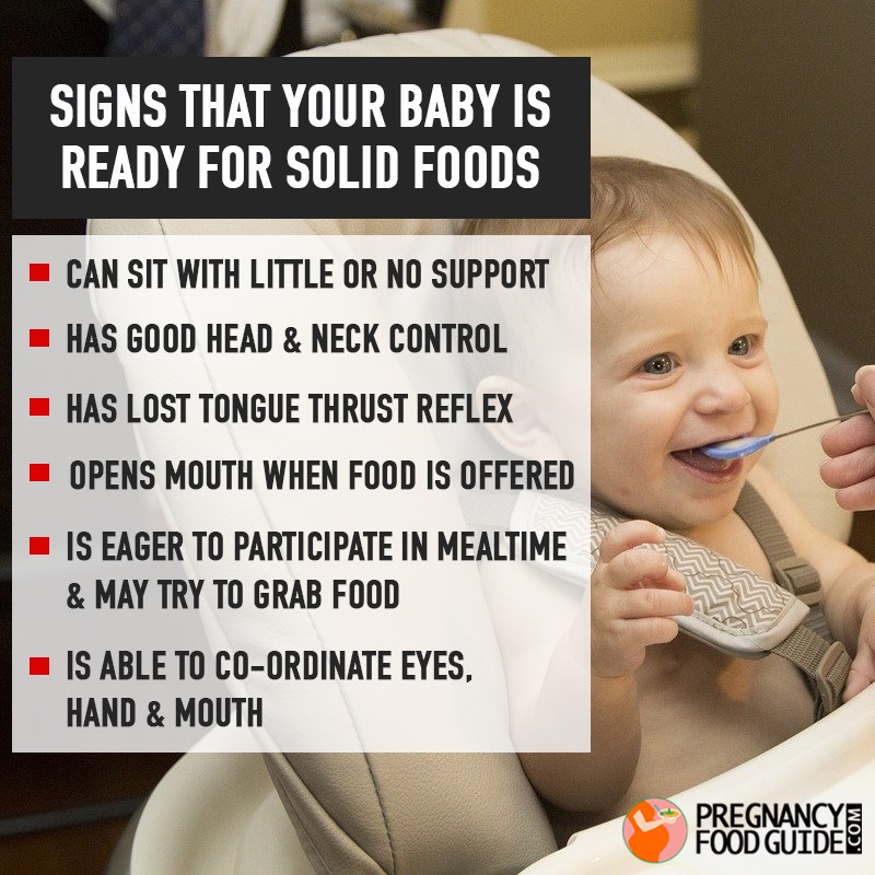 baby solid foods