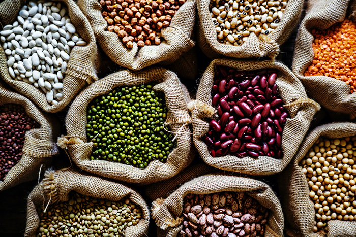 lentils beans