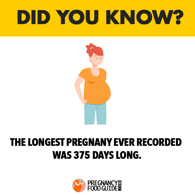 longest pregnancy