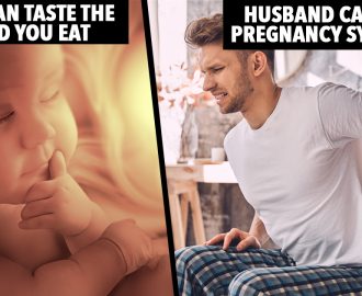 pregnancy facts thumbnail