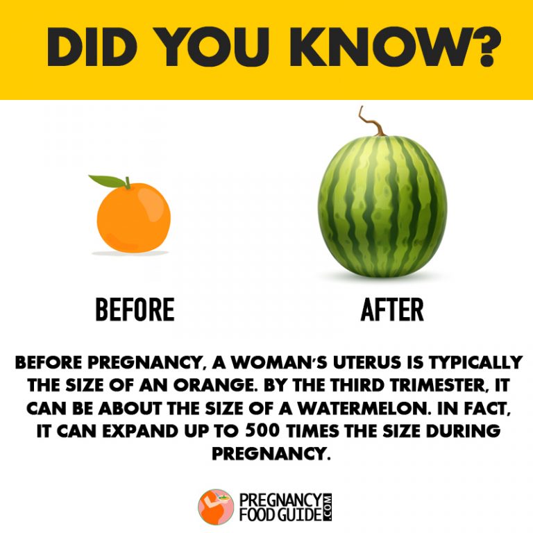 15 Surprising Pregnancy Facts