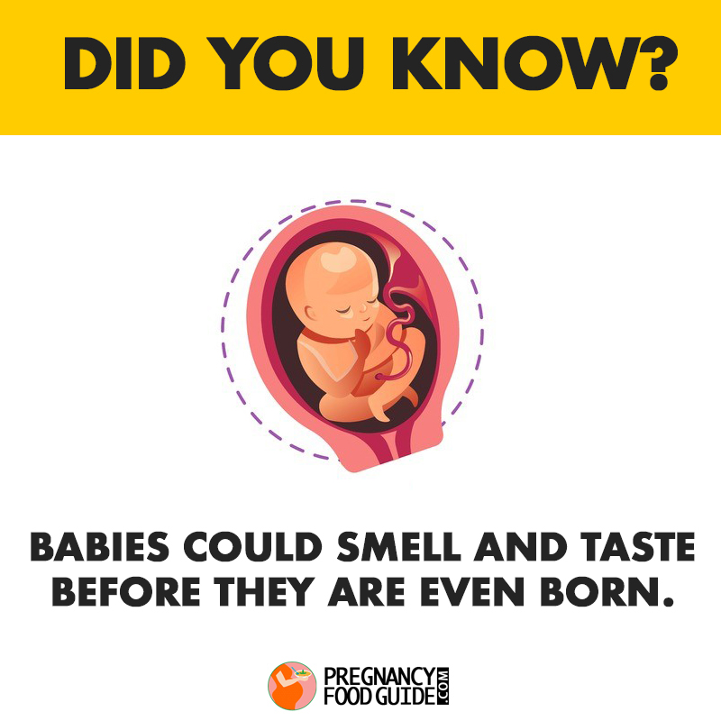 babies can taste and smell