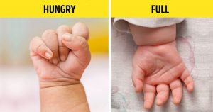 Signs That Your Baby Is Hungry