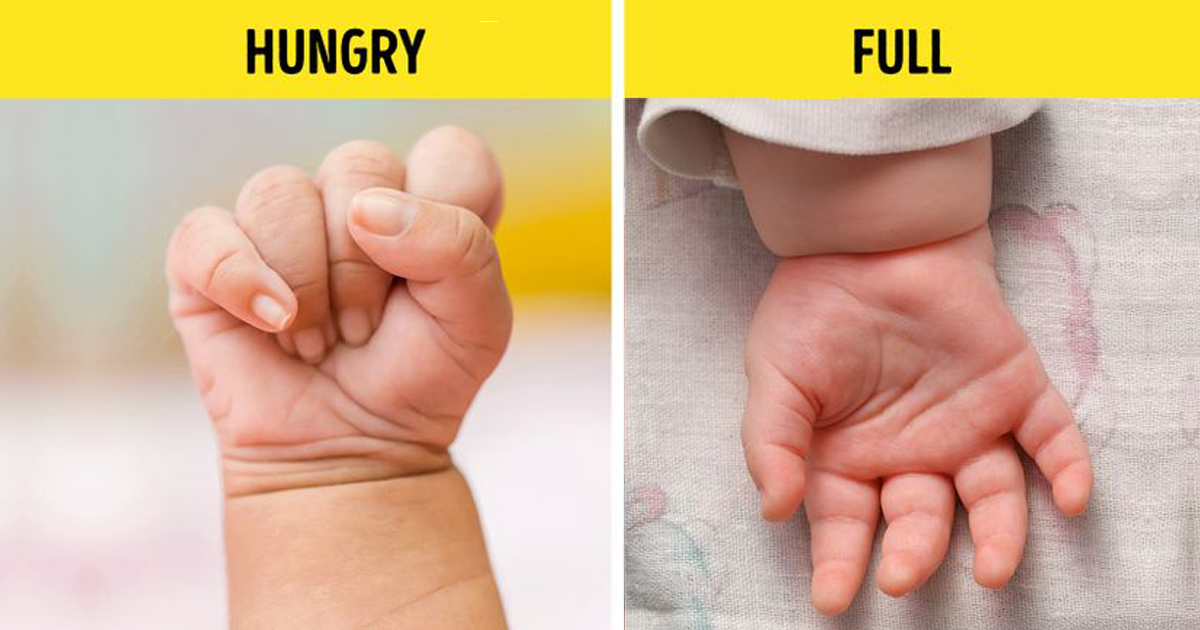 baby hungry full