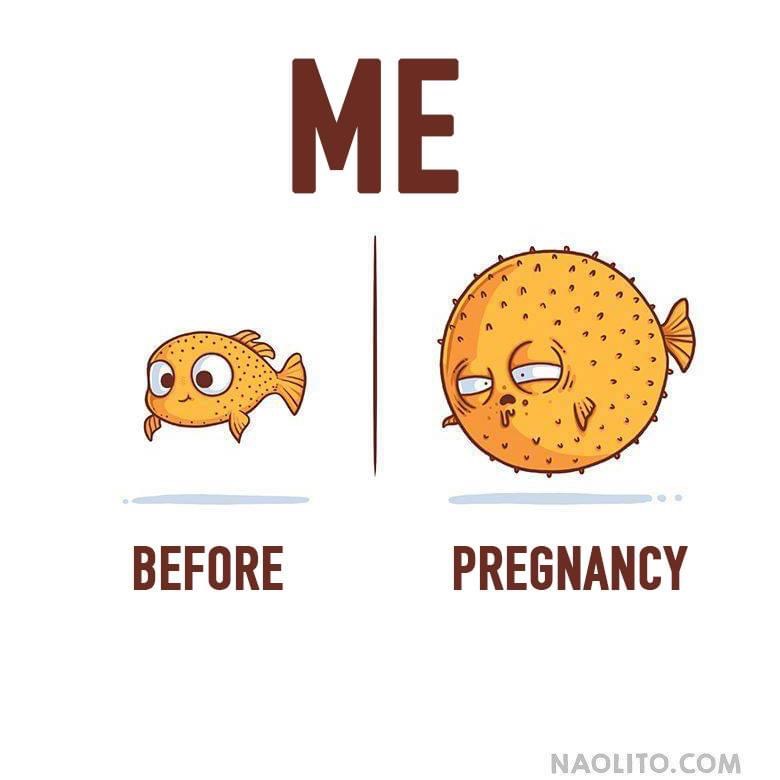pregnancy before after