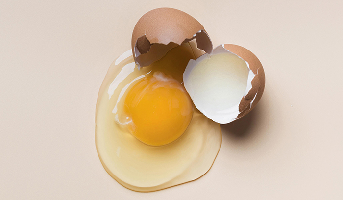 raw egg pregnancy