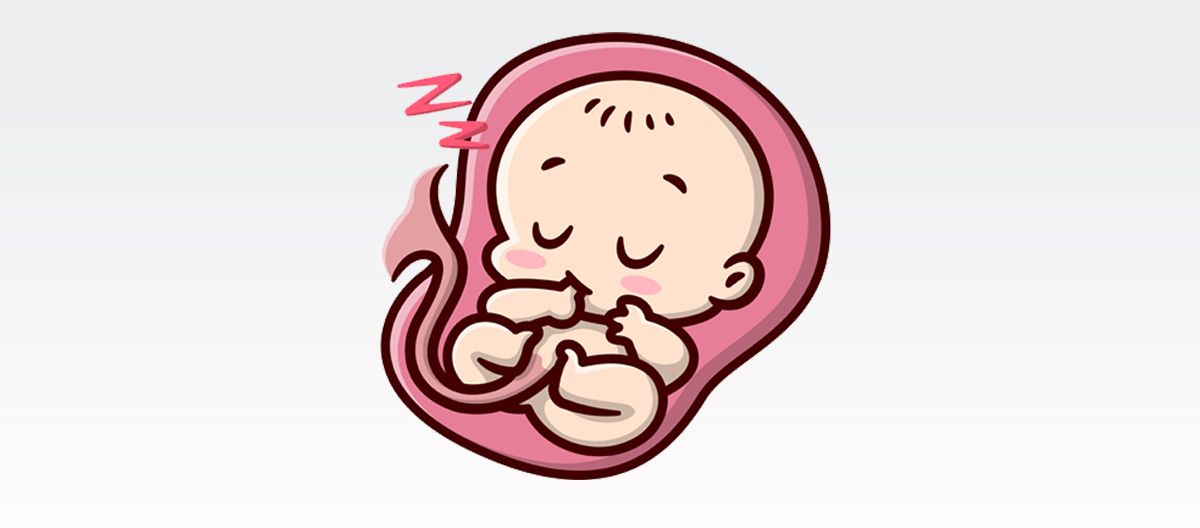 baby sucking thumb in womb