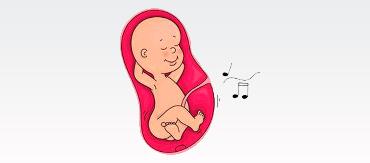 fetus listening outside voices