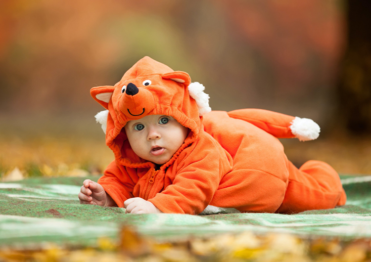 baby in animal outfit