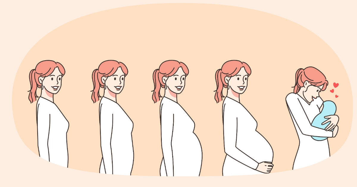 Stages of Pregnancy: First, Second and Third Trimester